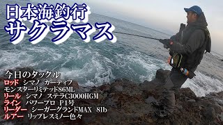 【ショアサクラマス】日本海で色々ヒットシーン撮れました