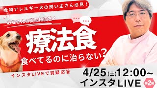 愛犬が食事アレルギーといわれて療法食を食べていますが治りません。（第2回インスタLIVE4/24)