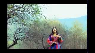 Asma Wesal New Pashto Song \