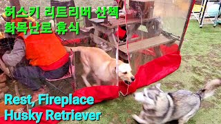 강아지산책 1부, 화목난로, 허스키 Husky, 리트리버 Retriever, 말티즈 Maltese, Animal Farm, 사과 과수원, 230110.화