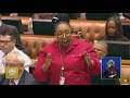 EFF Commissar V. Mente #MinisterQandA