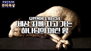 [큐티인]묵상 요1:19~34 세상 죄를 지고 가는 하나님의 어린양