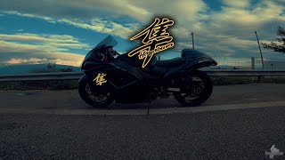 215 WHP SUZUKI HAYABUSA | ACCELERATION + TOP SPEED | BROCK'S + QUICKSHIFTER RAW SOUND