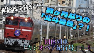 【団体列車】数ヶ月ぶりの「北斗星色」？！「カシオペア紀行号」撮影！！撮影後奇跡が…