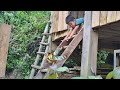 Harvesting pineapples to sell at the market - taking care of the children