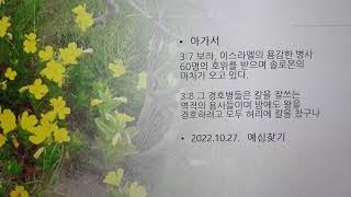 다니엘273ㅣ예심찾기ㅣ2022.1027.천사