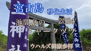 【vlog】池間島のミャークヅツ2024⛩️ウハルズ御嶽（大主神社）参拝🙏等