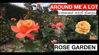 என்னைச் சுற்றி நிறைய / AROUND ME A LOT / ROSES