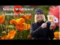 Sowing Wildflower Seeds With Success