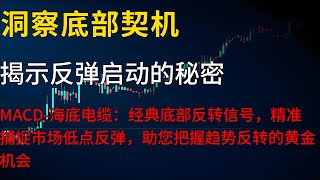 洞察底部契机，揭示反弹启动的秘密，MACD-海底电缆：经典底部反转信号，精准捕捉市场低点反弹，助您把握趋势反转的黄金机会 #美股 #阿泽讲技术 #特斯拉  #deepseek #股票 #投资