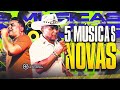 5 Musicas Novas - Anderson e o Vei da Pisadinha Novembro 2024