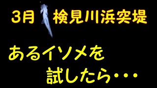 検見川浜突堤３月中旬「ハゼ・カレイ・シーバスが釣れる釣り場で、アオイソメとオレンジイソメを試した結果」ばいおフィッシング2022 Part08 東京湾奥千葉県側 Tokyo Bay Fishing