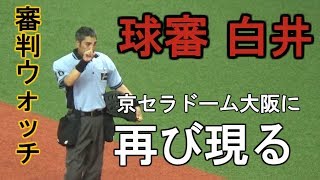 【審判ウォッチ(球審編)】みんな大好き 球審白井 に再び注目してみた【2018.07.17 オリックスvs北海道日本ハム】