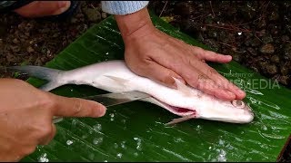 RAGAM INDONESIA | JELAJAH RASA DI TIMUR JAWA (14/09/18)