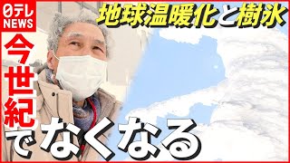 【国内唯一】研究30年以上の“樹氷”研究者「地球温暖化進めば今世紀でなくなる…」　山形　NNNセレクション