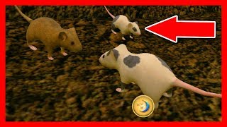 СИМУЛЯТОР Маленькой МЫШИ #45 РОДИЛСЯ мышонок НАЧИНАЕМ ВОСПИТЫВАТЬ в Mouse Simulator