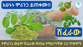 አሁኑኑ ሞሪንጋ ይጠቀሙ!! | EthioTena