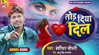 #Bk_Entertainment स्वर: बंशीधर चौधरी तोर दिया दिल तोर दिया रे 2021ईस साल का बहुत बेवफाई