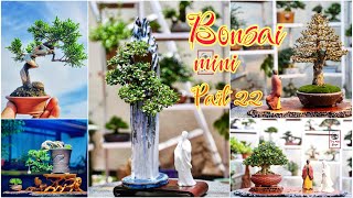 Bonsai mini & super mini part 22 || Bonsai art to beautify life || Bonsai tree