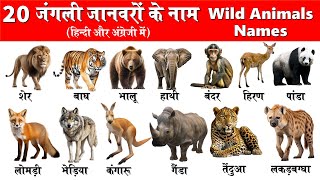 20 Wild Animals Name in Hindi and English with Pictures | 20 जंगली जानवरों के नाम | Animals Name |
