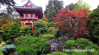 Traditional Chinese Music for Meditation, Relax, Tai Chi Chuan, Qigong, Tui Na, Relax