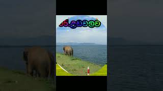 කතරගම යන ඔබට යා හැකි සුන්දර  ස්ථාන  10ක් visit in katharagama#travel #innai-nannai