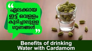 ഏലക്കായ വെള്ളം കുടിച്ചാലുള്ള ഗുണങ്ങൾ | Benefits of drinking water with cardamom | Health \u0026 Glow