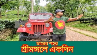 চায়ের দেশ শ্রীমঙ্গল | নুরজাহান চা বাগান | Sreemangal | Moulvibazar Sylhet | Traveller Biplob