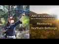 AWC in Conversation with Dr Manuela Fischer & Johnny Murison: Monitoring Northern Bettongs (S4E2)