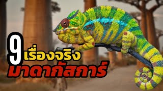 9 เรื่องจริง มาดากัสการ์ | Madagascar