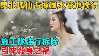 東北狐仙占據風水寶地修行，施工隊強行拆除，引來殺身之禍！【乾坤探秘】#社會 #奇聞 #事件#真相 #熱門#命理