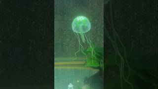 Aquarium | #aquarium #shorts #short #shortsfeed #viralvideo