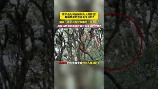 哀牢山为何会被列为人类禁区？其山林深处到底有多可怕？