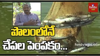 Fish Farming | Integrated Fish Farming | hmtv Agri