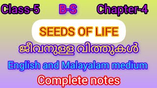 പരീക്ഷയ്ക്ക് എളുപ്പത്തിൽ പഠിക്കാം/ ജീവനുള്ള വിത്തുകൾ/ seeds of life/questions and answers 👍🏻