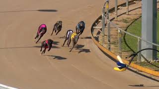 Gawler-25082020-Race-4