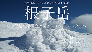 【スノーモンスターと白樺の森】ワカンで歩く厳冬期の根子岳