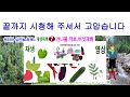 전국 어디에서나 심어 먹을 수 있는 산나물 소개. 텃밭농사에서 빠질 수 없는 산나물 기후 땅 가릴 것 없이 잘 자라는 산나물 종류 소개 산나물은 향기가 있는 채소에다 약초