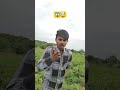 kspas ki new verayti😱 kapas vinodfarmer khedut shorts viral