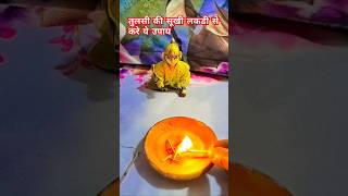 तुलसी की सूखी लकड़ी का अचूक उपाय || Tulsi ki lakdi ka upaye#अचूकउपाय  #tulsikilakdi #harekrishna817