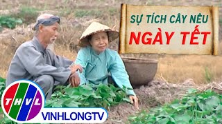 THVL | Thế giới cổ tích – Tập 49: Sự tích cây nêu ngày tết