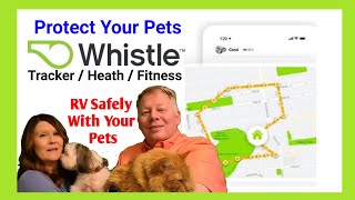 Here's the Best GPS Pet Tracker - Whistle Go Explore