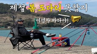 제철 봄 도다리 원투낚시 술안주 도다리 회 못참지. 도다리 포인트