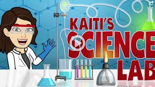 Kaiti's Science Lab Preview: Egg drop challenge