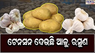 ଟେନସନ ଦେଉଛି ଆଳୁ, ରସୁଣ | Odia News Live Updates | Latest Odia News | Samayalive