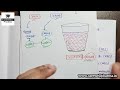 body fluids and blood composition and function of blood part 1 unit 3 anatomy and physiology