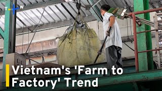 Rising Cost of Living in HCMC Reversing Vietnam's Farm to Factory Migration ｜TaiwanPlus News