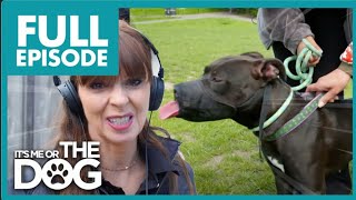 Owner wants to Give Away 'BEAST' Dog! | Full Episode | It's Me or the Dog