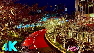 Tokyo Midtown Roppongi Christmas Lights 2024 | Japan Night Walk • 4K HDR