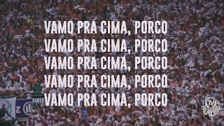 VAMOS PRA CIMA, PORCO!